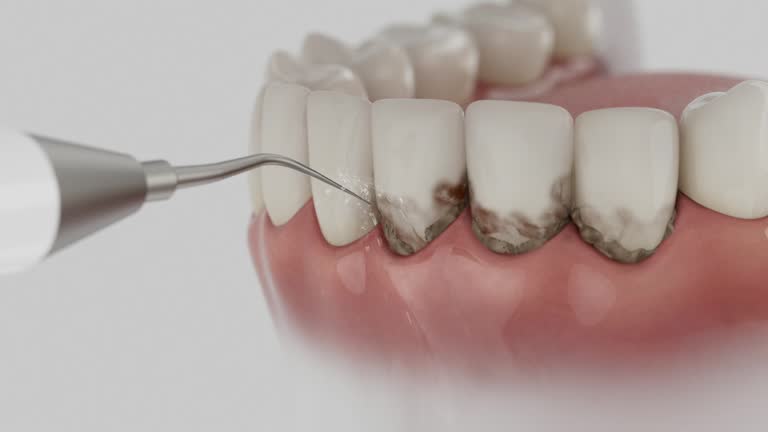 Reliable Dental contractor in Harrisburg, NC by Dentist Open Now
